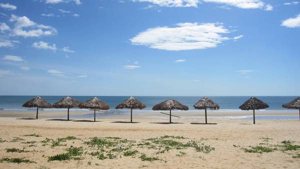 <strong>17. Bãi Nhật Lệ - Đồng Hới:</strong> Đến với biển Nhật Lệ bạn sẽ cảm nhận được rõ phong cảnh ở đây thật kỳ vĩ, sơn thuỷ hữu tình. Biển Nhật Lệ Quảng Bình có những bãi cát vàng óng ánh dưới rừng dương xanh với nhiều bãi tắm đẹp, nước biển lung linh màu ngọc bích và chưa bị ô nhiễm. Ảnh: bqlcacbaibien