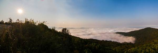 Trên đỉnh Sơn Trà một ngày nắng. Ảnh: Khan G Nguyen