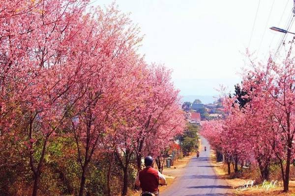 Ảnh: Bùi Châu Nhã Vy