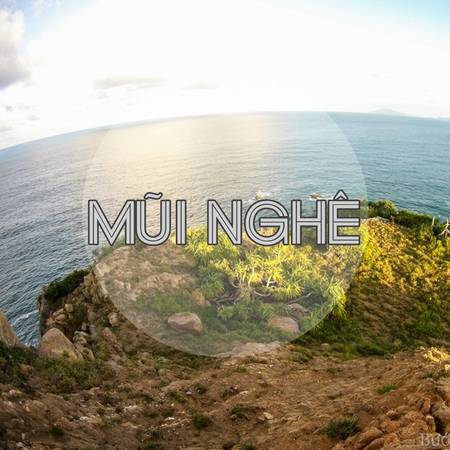 Ảnh: Bước Chân Không Mỏi