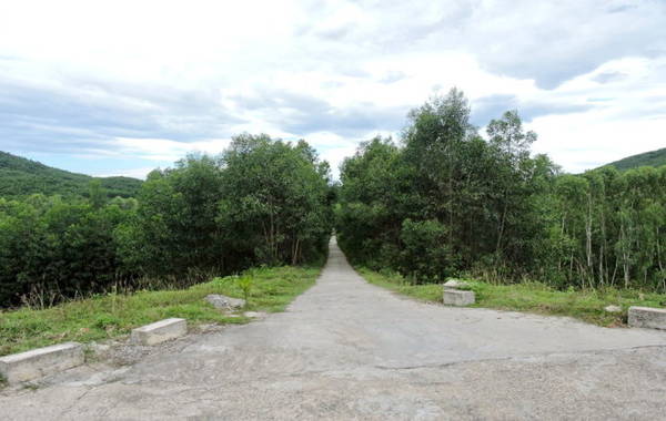 Rừng bao học xung quanh hồ là nơi du khách có thể cắm trại dã ngoại - Ảnh: THANH LY