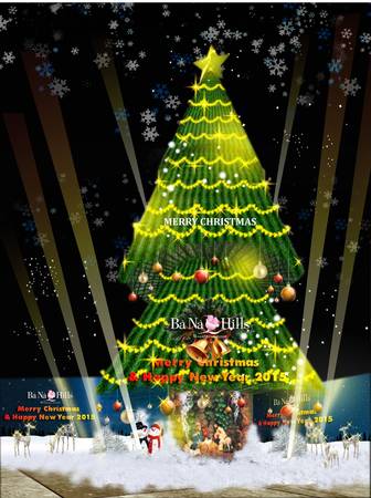 cay-thong-noel-ivivu