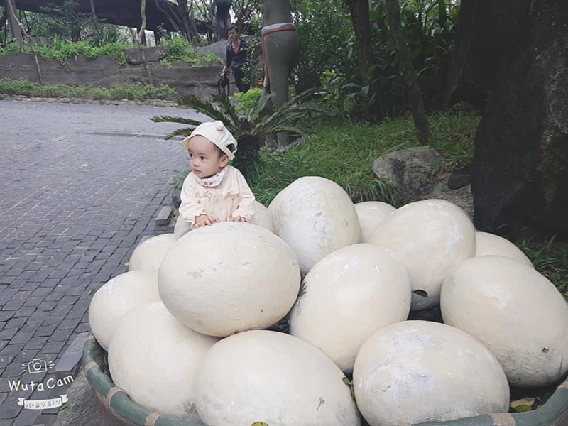 Ảnh: Fanpage Công viên Suối khoáng nóng Núi Thần Tài