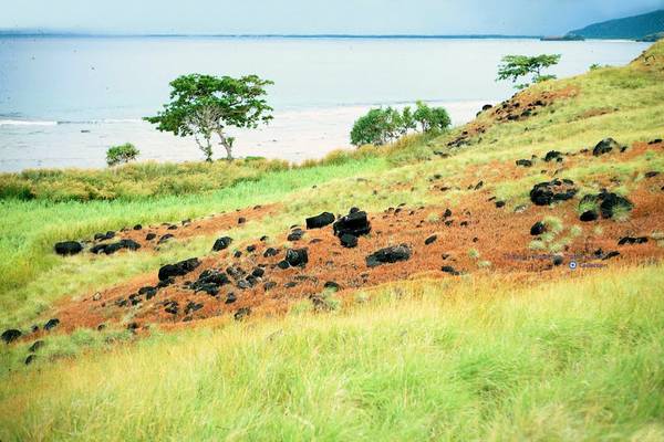 Ảnh: Stan Prelgovisk