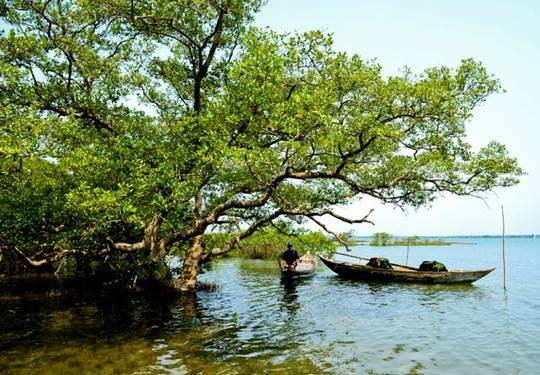 Người dân Tam Hải sống chủ yếu bằng nghề giăng câu, thả lưới. Ảnh: Hải Hoàng