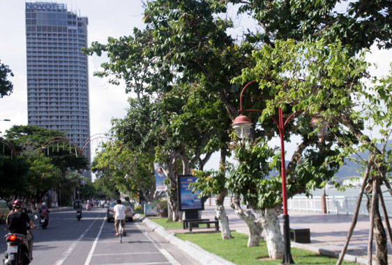 Marathon quốc tế Đà Nẵng