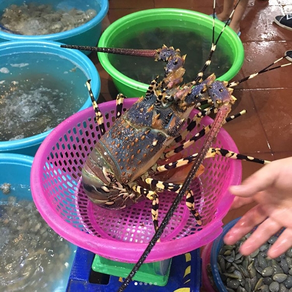 Tôm hùm. Ảnh: @byun.sy