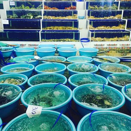 Các quán hải sản trên đường Võ Nguyên Giáp như thiên đường hải sản tha hồ bạn lựa chọn thưởng thức. Ảnh: @chl.w