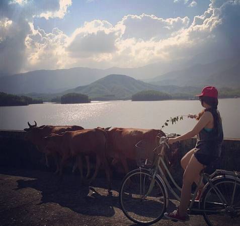 Tuy nhiên, vẻ đẹp yên bình ở hồ Hòa Trung không chỉ là đồng cỏ nhìn ngút mắt, mà còn là hình ảnh những đàn bò, đàn trâu nhẩn nha ăn cỏ mỗi sáng, mỗi chiều. Ảnh: ST