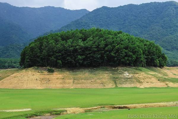 Những đồi đất cao là nơi được trồng nhiều cây tràm dày đặc để khi mùa nước dâng tránh bị sạt lở.