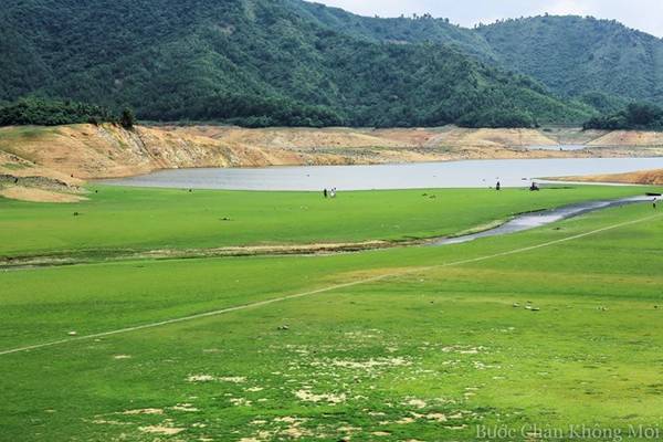 Nhiều người thích thú với cảm giác chạy xe máy trên cánh đồng cỏ mênh mông này, như đang cưỡi ngựa trên thảo nguyên Mông Cổ vậy. Đây cũng là nơi lý tưởng mà các cặp đôi lựa chọn để có bộ ảnh cưới đẹp nhất.