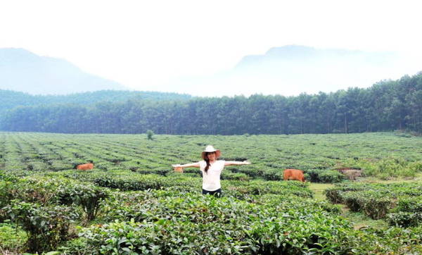 kham-pha-doi-che-dong-giang-ivivu-5-1