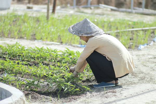 khu-du-lich-sinh-thai-chan-troi-goc-be-dia-diem-an-choi-moi-toanh-cho-gioi-tre-da-nang-ivivu-6