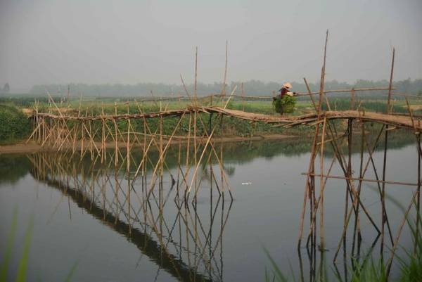 Những chiếc cầu tre để người dân thôn Cẩm Đồng qua lại thu hoạch hoa màu