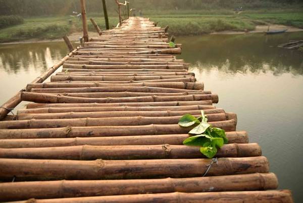 Một cọng rau rơi trên cầu