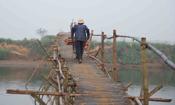 Qua đồng tưới rau