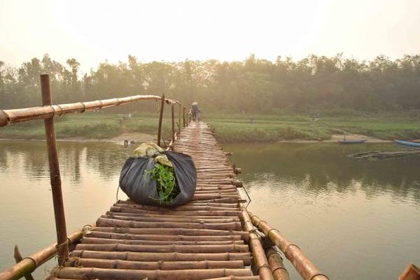Bành rau nằm lại giữa cầu. Chị nói định dẫn xe qua rồi quay lại ôm rau đi bộ...