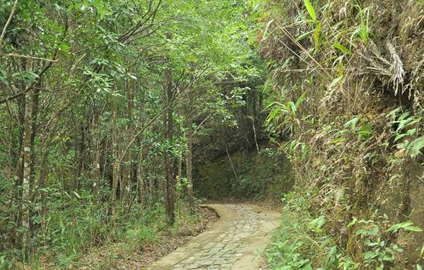 Con đường lát đá rêu phong lên đỉnh Bạch Mã.