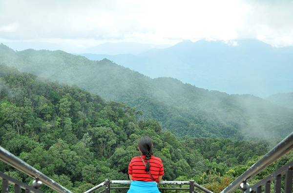 Phương tiện gần như duy nhất để chinh phục đỉnh Bạch Mã là đi xe ô tô. Nếu bạn có xe hơi riêng, chỉ cần mua vé với mức giá 40.000 đồng/người. Trong khi đó nếu đi xe máy bạn sẽ có hai lựa chọn: hoặc đi bộ, hoặc thuê xe theo nhóm với mức giá khoảng 900.000 đến 1 triệu 2 cho những chiếc xe 12 chỗ ngồi.