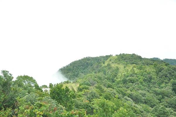 Đỉnh Bạch Mã cao nhất trong dãy Bạch Mã có độ cao khoảng 1.450m. Nơi đây có Hải Vọng Đài là điểm bạn có thể quan sát toàn bộ khung cảnh bên dưới với vịnh Lăng Cô phía xa xa, núi non trùng điệp hay dòng sông uốn lượn... Những ngày tháng 9, tiết trời rất đẹp bạn sẽ trầm trồ khi được ngắm mây vờn trên những đỉnh núi tạo nên vẻ đẹp tựa chốn bồng lai tiên cảnh. Những đám mây trắng khi thì lững lờ, lúc lại trôi rất nhanh. Có những lúc, mây phủ kín những dãy núi tạo thành không gian trắng xóa, mờ ảo. Có những khi mây chỉ lướt nhẹ theo đám nhỏ lấp ló những cánh rừng màu xanh tươi sự sống.