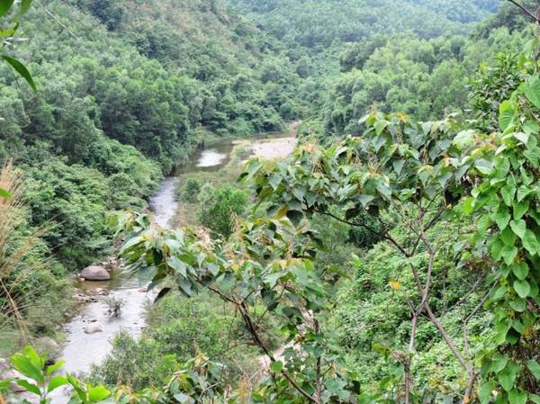 Du khách có thể ngẫu hứng ghé vào những con suối nhỏ bắt nguồn từ rừng sâu chảy ra sát ven quốc lộ 14G - Ảnh: THANH LY