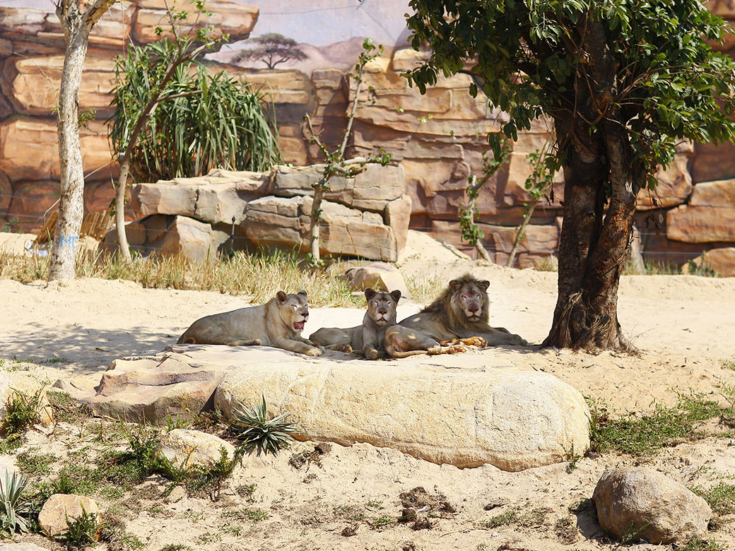 lich-trinh-da-nang-ivivu-14