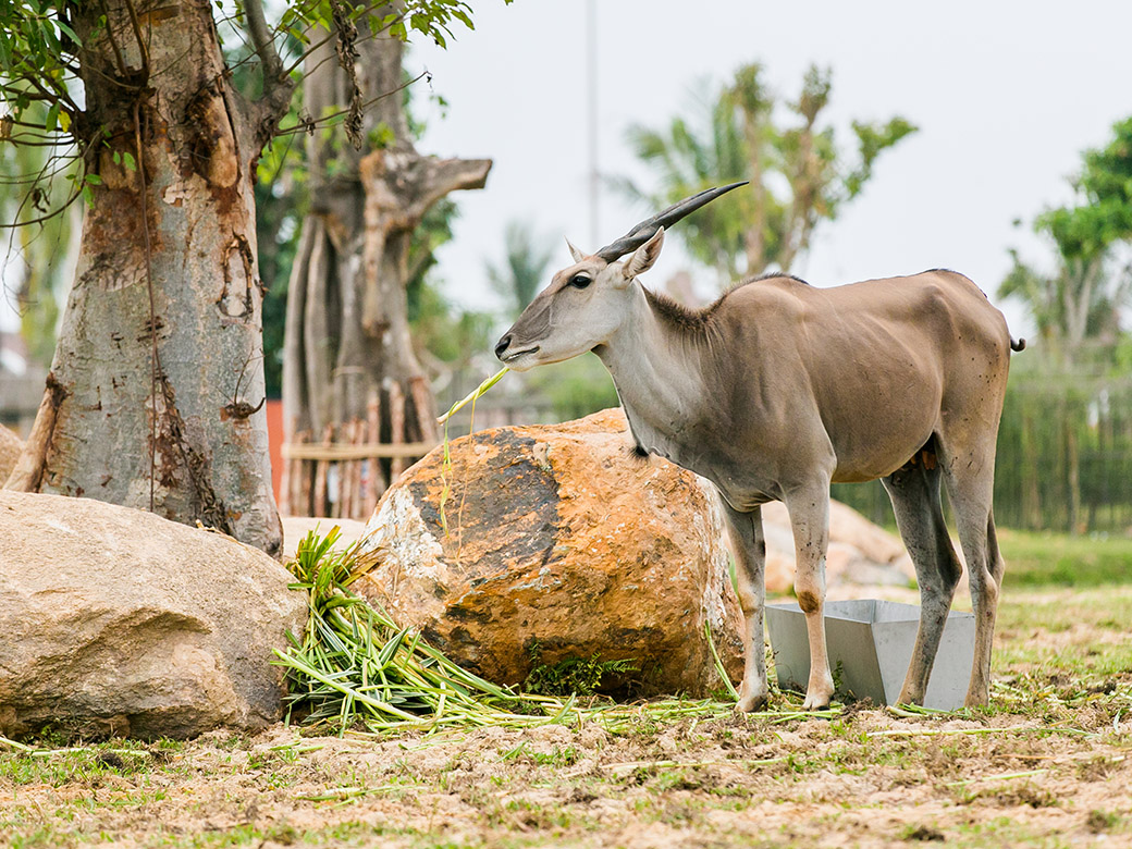 lich-trinh-da-nang-ivivu-16