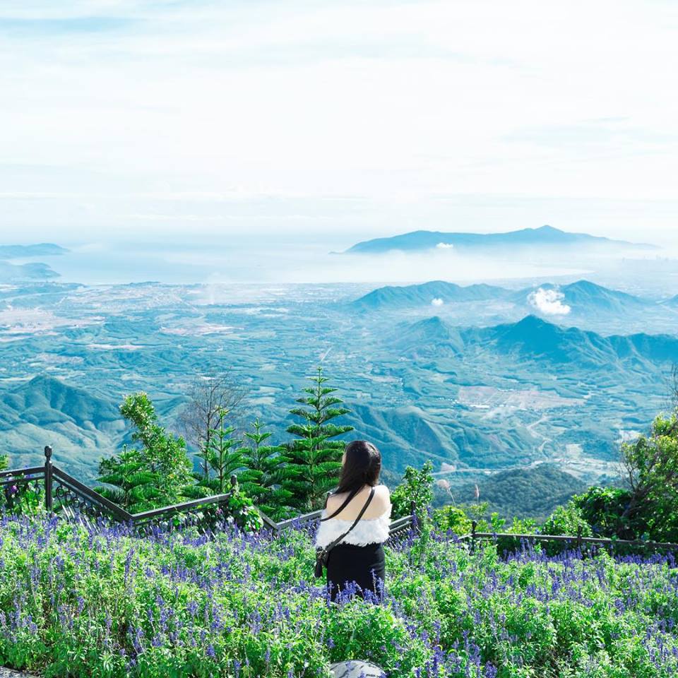 Ảnh: vietlovestory