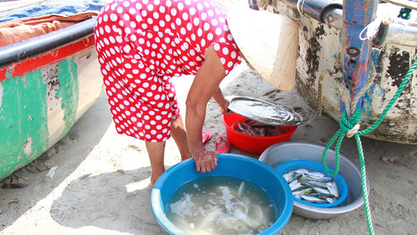 Sáng sớm, cá tôm được ngư dân của làng đánh bắt về - Ảnh: ĐOÀN CƯỜNG