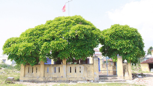 Làng Nam Ô còn lưu dấu nhiều di tích xưa - Ảnh: ĐOÀN CƯỜNG