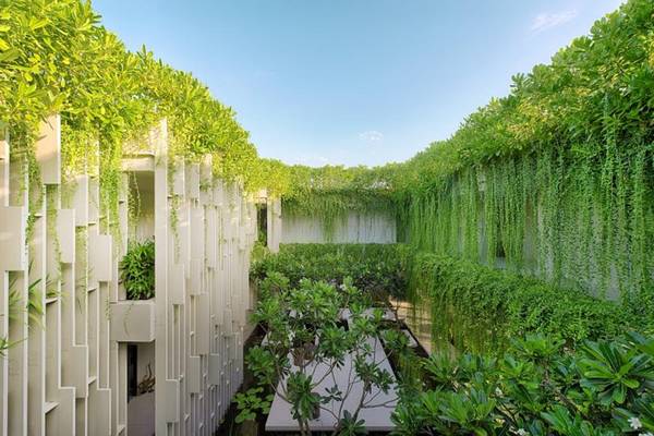 naman-retreat-da-nang-ivivu-19