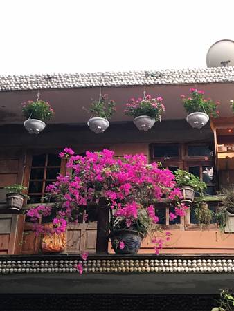 Đặc biệt trong khuôn viên nhà hàng có vô số cây cỏ, hoa lá như tô điểm thêm cho vẻ đẹp nơi đây. Ảnh: Facebook khu du lịch sinh thái Bảy Ban