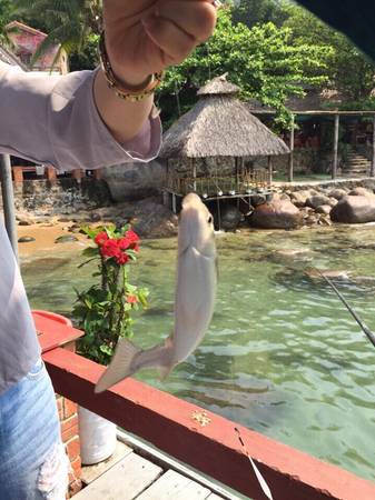 Ảnh: Facebook khu du lịch sinh thái Bảy Ban