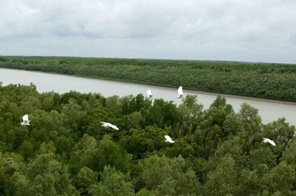 Nhung-dia-danh-Viet-moi-duoc-bao-Tay-vinh-danh-ivivu-2