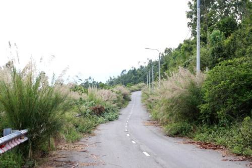 Đường đi bán đảo Sơn Trà, Đà Nẵng. Ảnh: Cuồng Chân.
