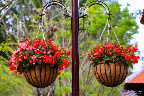 Các công trình mang đậm phong cách Pháp trở nên mềm mại và lãng mạn hơn khi được điểm xuyết bằng các giỏ hoa thu hải đường duyên dáng.