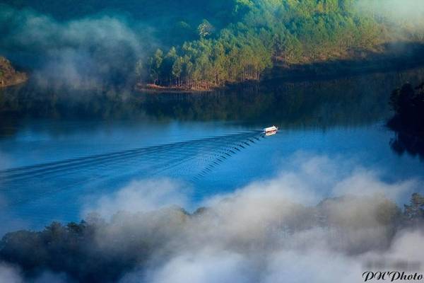 Thành phố có khí hậu mát mẻ, hoa mọi nơi... luôn là điểm đến được nhiều người lựa chọn khi đi du lịch với bạn, bè, gia đình hay một mình. Ảnh: Trần Minh Hoàng.