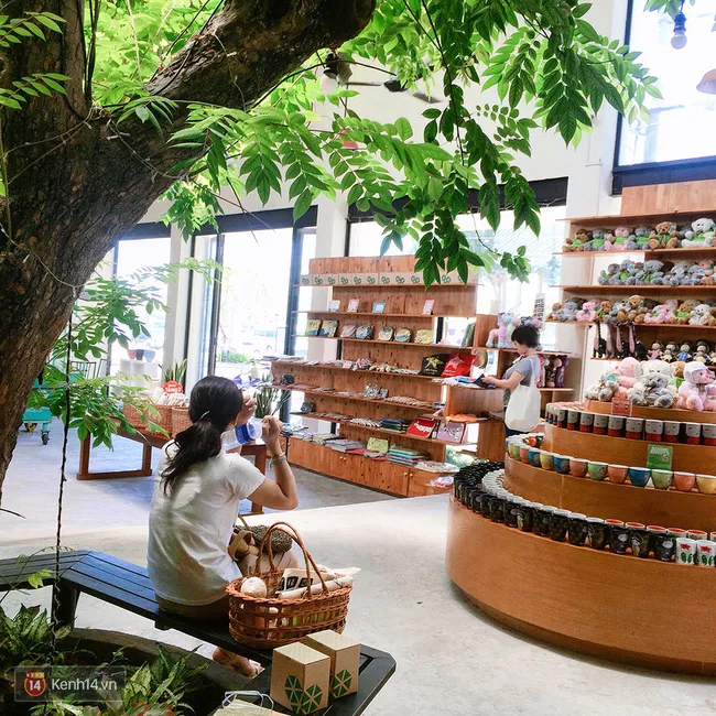 Khi tham quan mỏi chân bạn có thể ngồi ở gốc cây này để nghỉ ngơi.