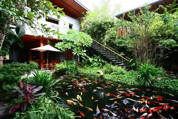 Không gian này dường như càng rộng hơn bởi ngôi nhà - kiến trúc chính của quán hoà lẫn vào cây xanh. Hồ nước là trung tâm của quán với đàn cá nhiều sắc màu tung tăng bơi lội, tô điểm một cách sinh động cho không gian xanh.