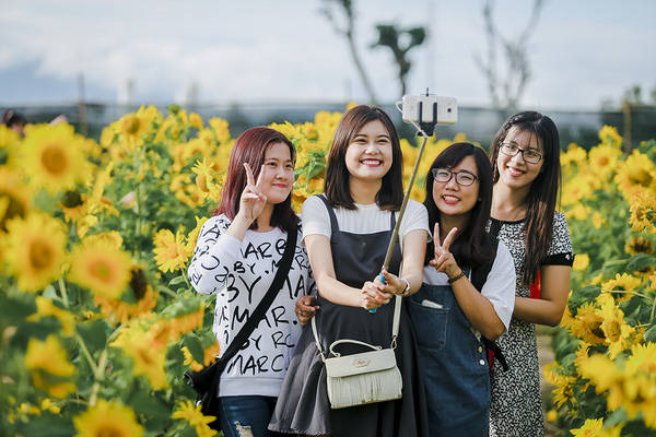 sau-da-lat-va-nghe-an-cuoi-cung-thi-gioi-tre-da-nang-cung-da-co-vuon-huong-duong-de-chup-hinh-ivivu-16