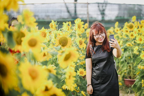 sau-da-lat-va-nghe-an-cuoi-cung-thi-gioi-tre-da-nang-cung-da-co-vuon-huong-duong-de-chup-hinh-ivivu-17