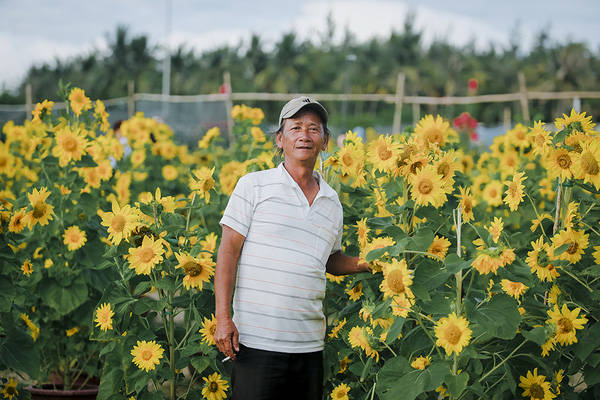 Đây là ông Hà Văn Vũ - chủ của vườn hoa hướng dương này.