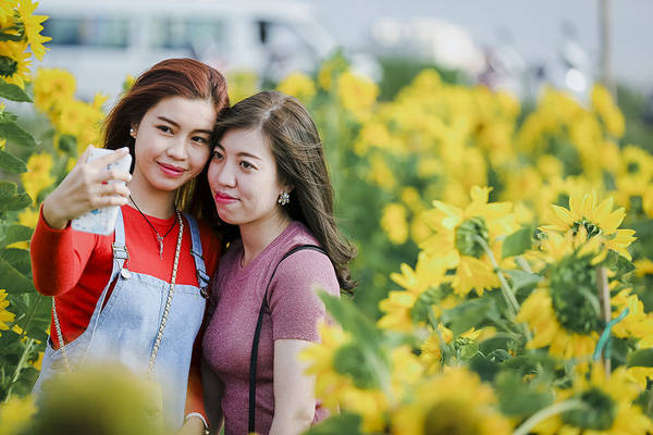 sau-da-lat-va-nghe-an-cuoi-cung-thi-gioi-tre-da-nang-cung-da-co-vuon-huong-duong-de-chup-hinh-ivivu-7