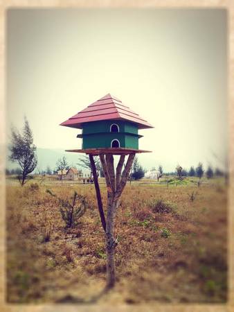 thuan-phuoc-field-da-nang-ivivu-1