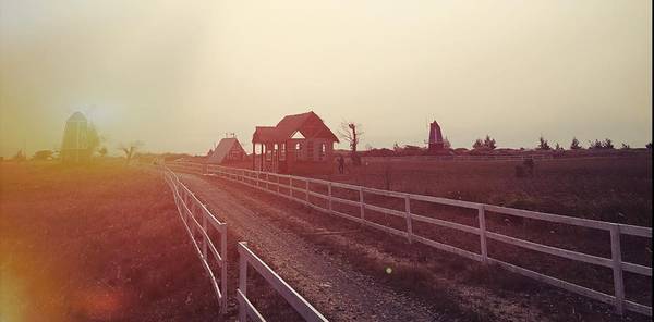 thuan-phuoc-field-da-nang-ivivu-10