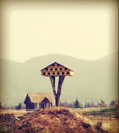 thuan-phuoc-field-da-nang-ivivu-2