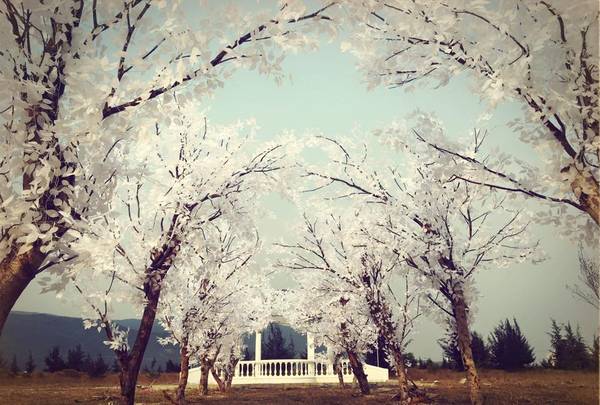 thuan-phuoc-field-da-nang-ivivu-9