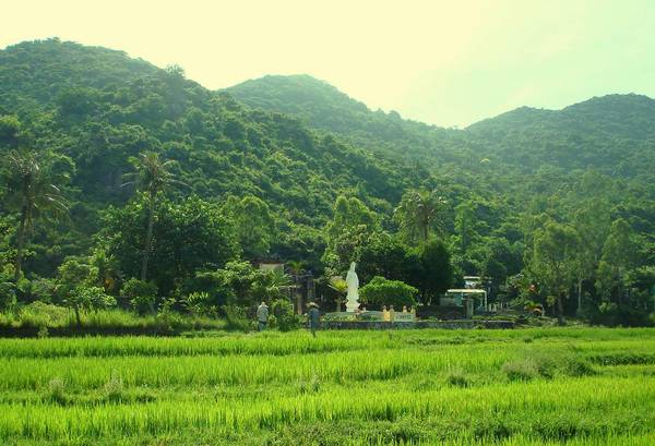 Khung cảnh bình yên bao quanh Chùa Hải Tạng.