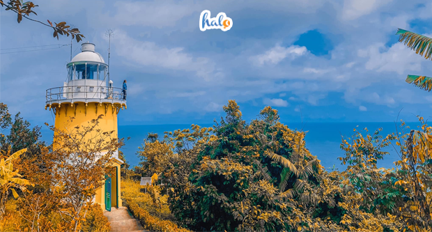 Khách sạn Flower Beachstay Đà Nẵng